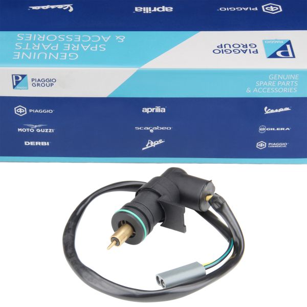 Vergaserchoke E-Choke 479093 für Piaggio TPH Sfera NSL Zip SSL RST Quartz ET2 (479093)